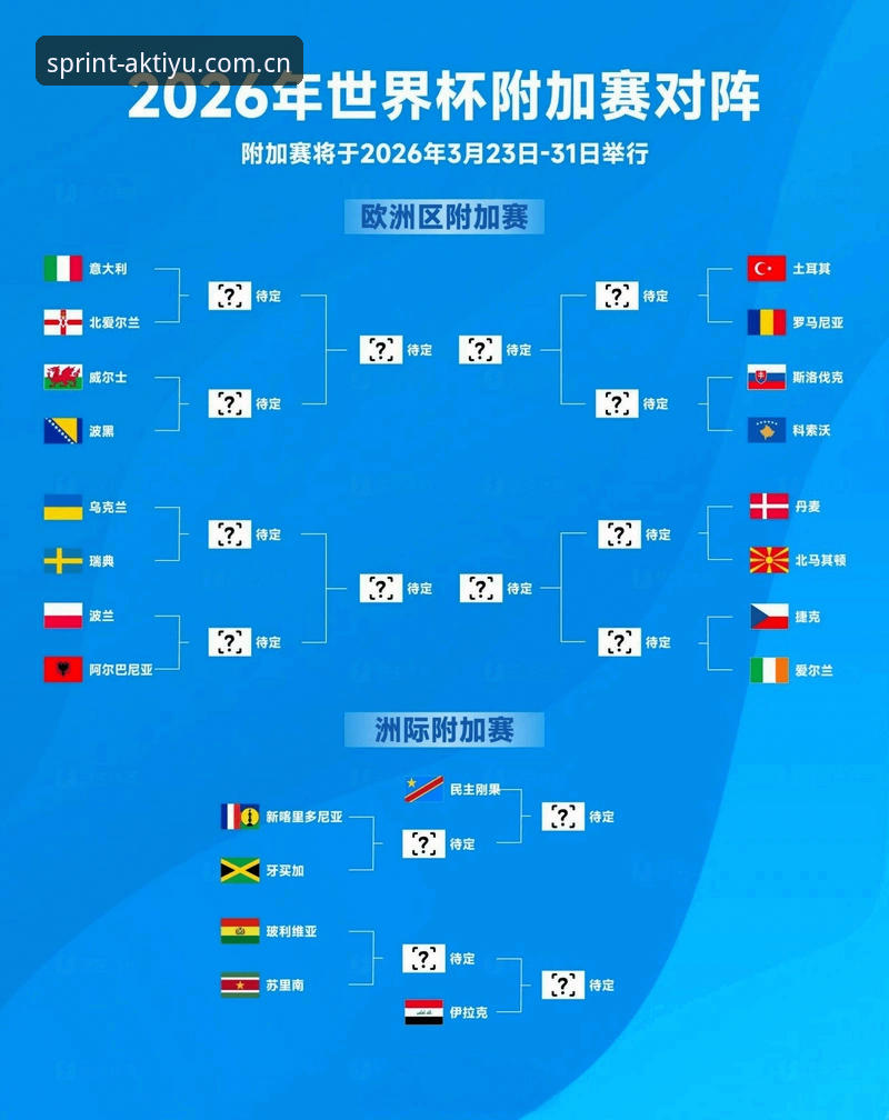 世界杯观赛受阻？球迷必备的签证与观赛实用指南